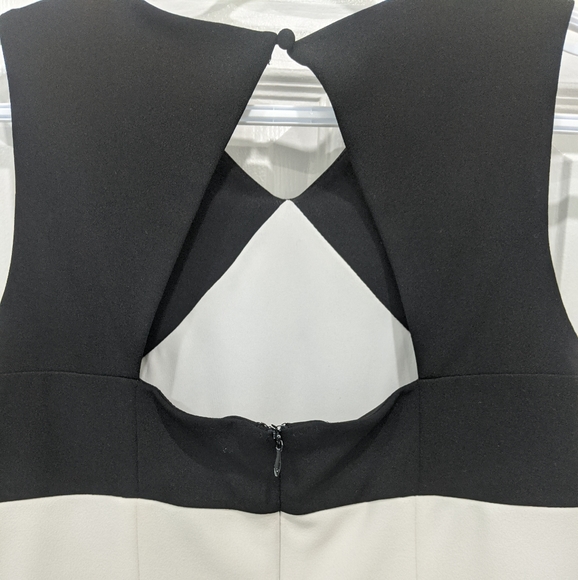 Calvin Klein Color Block Scuba Crepe Sheath Dress - Picture 6 of 7